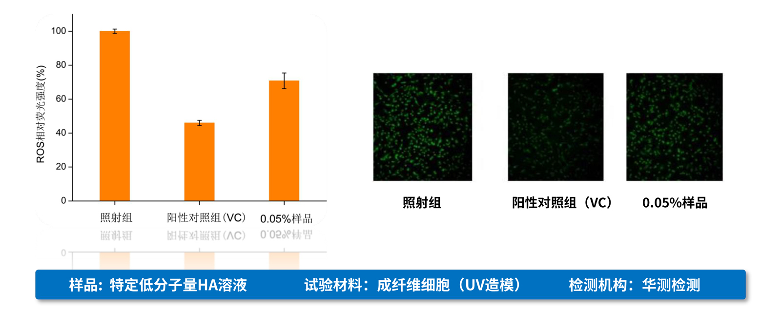 弘康未來-產(chǎn)品介紹2024-22.jpg