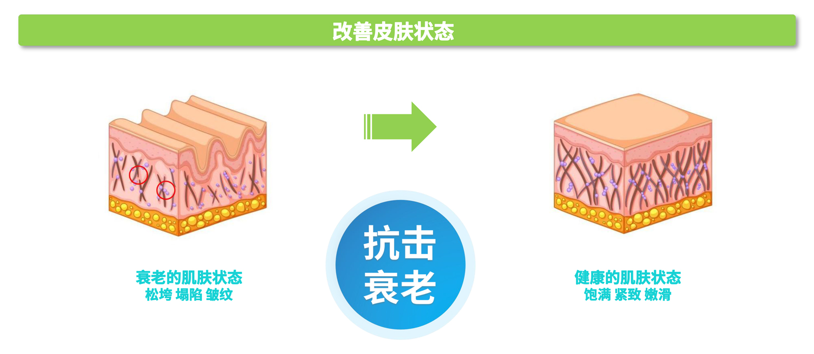 弘康未來-產(chǎn)品介紹2024-25.jpg