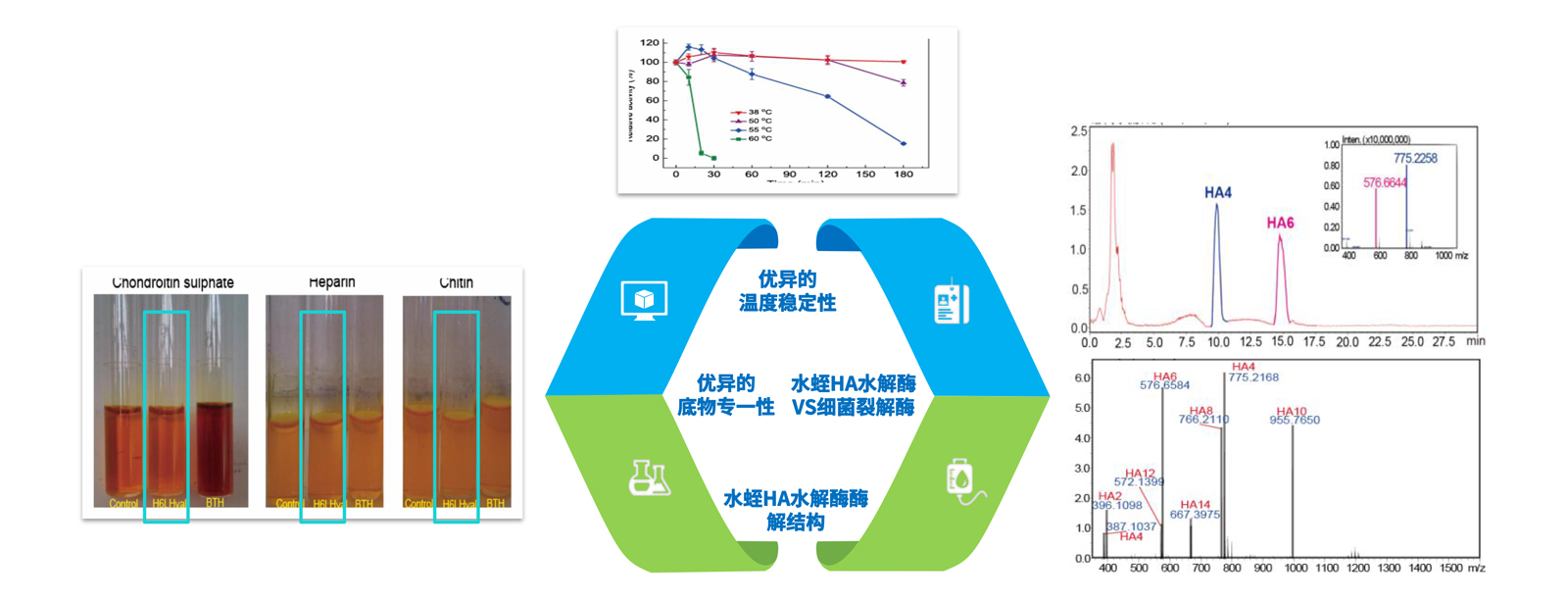 弘康未來-產(chǎn)品介紹2024-8.jpg
