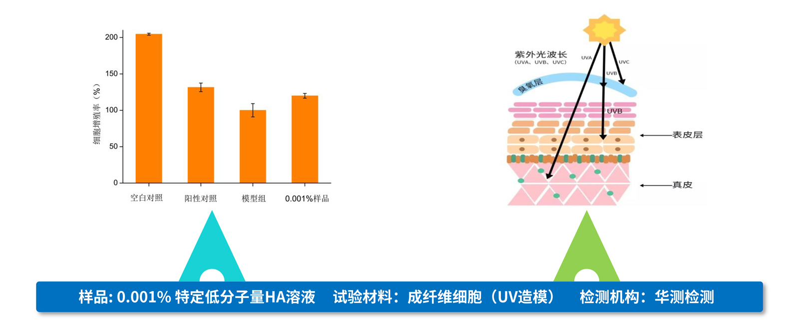 弘康未來-產(chǎn)品介紹2024-20.jpg