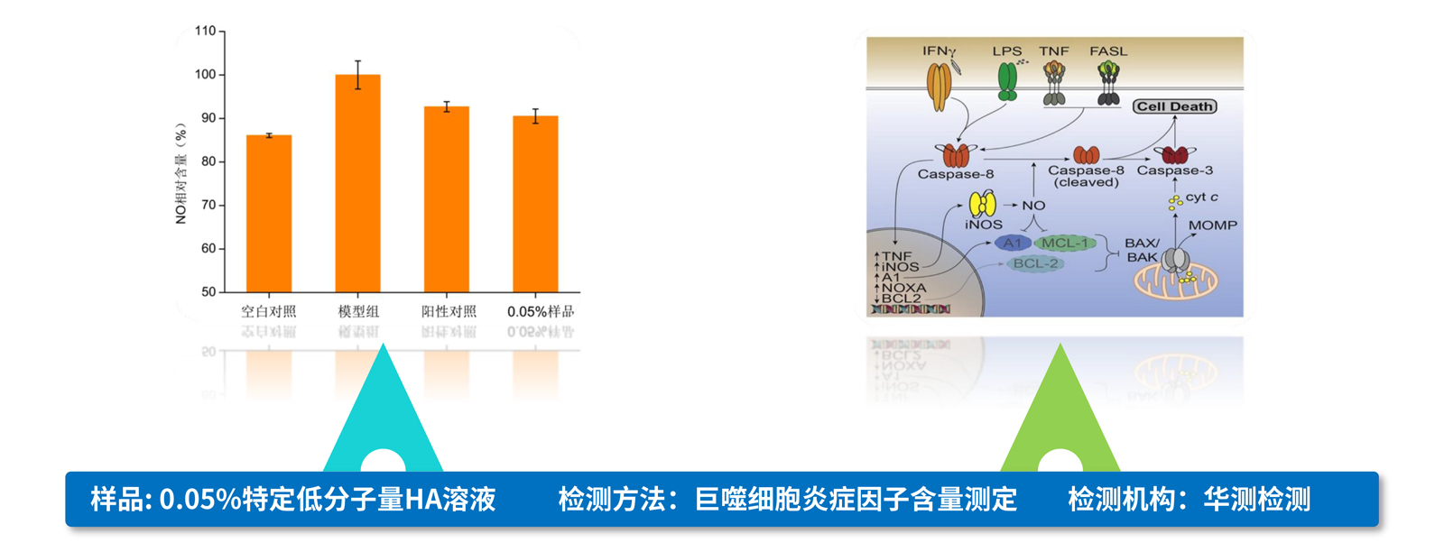 弘康未來-產(chǎn)品介紹2024-18.jpg