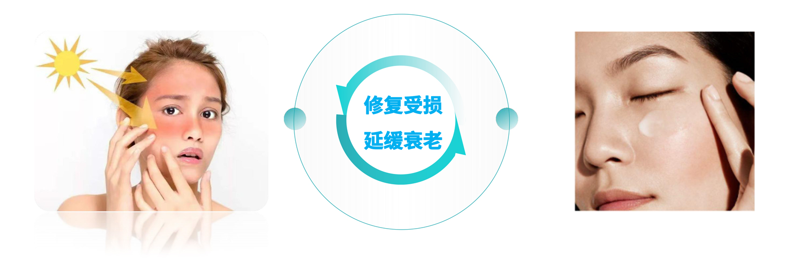 弘康未來-產(chǎn)品介紹2024-21.jpg