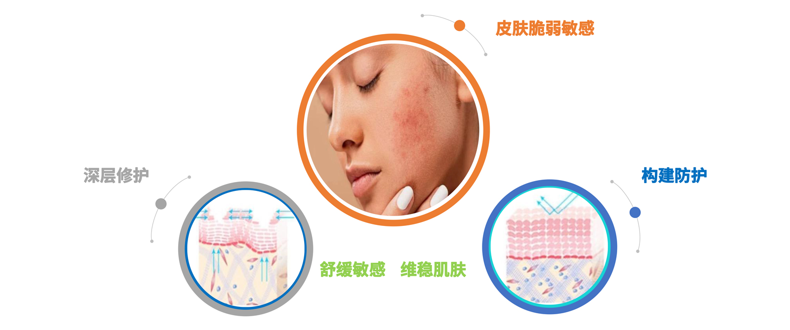 弘康未來-產(chǎn)品介紹2024-19.jpg